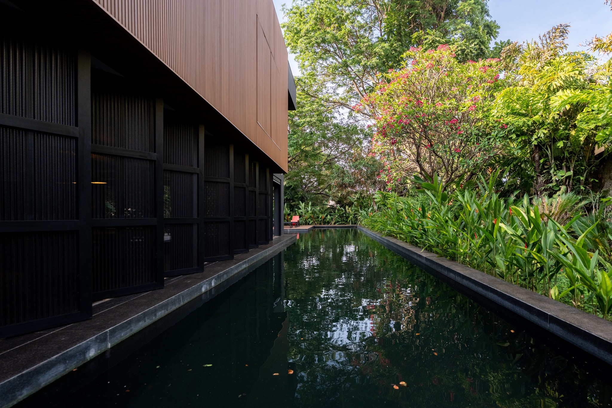 Fachada lateral revestida em placas metálicas escuras, com piscina espelho d'água entre a vegetação